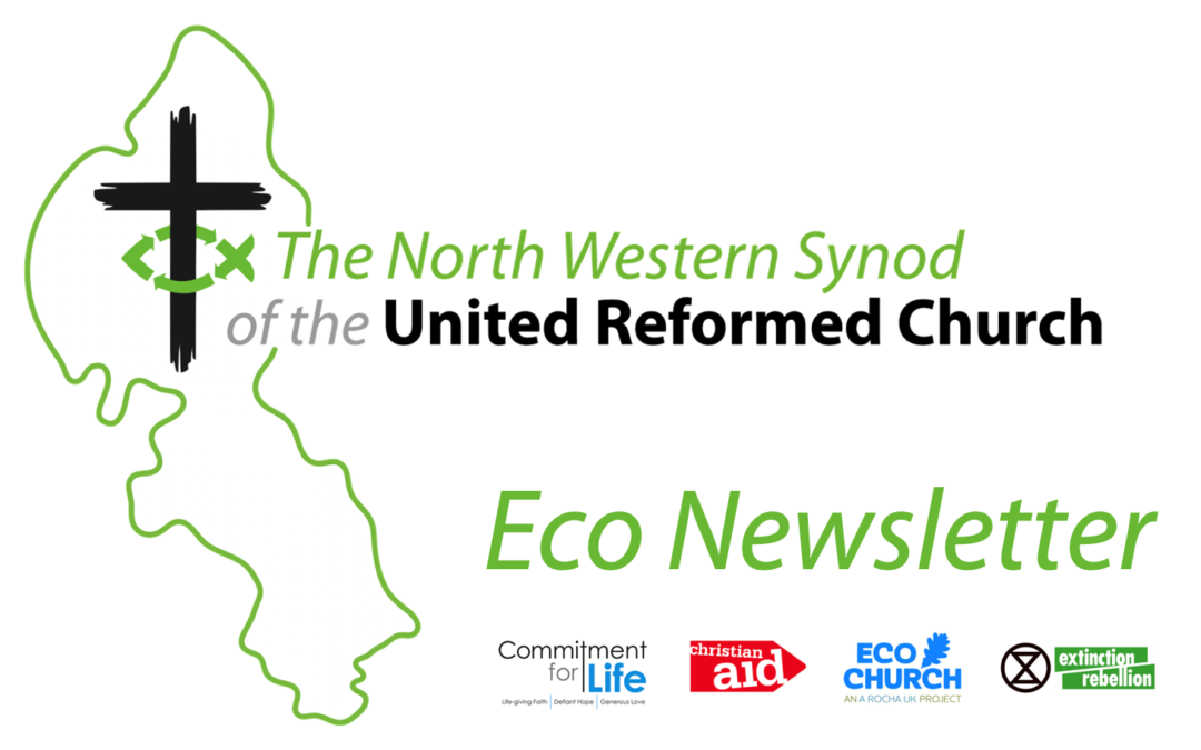 Eco Newsletter 5