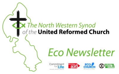 Eco Newsletter 7